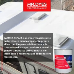 CAMPER REPAIR